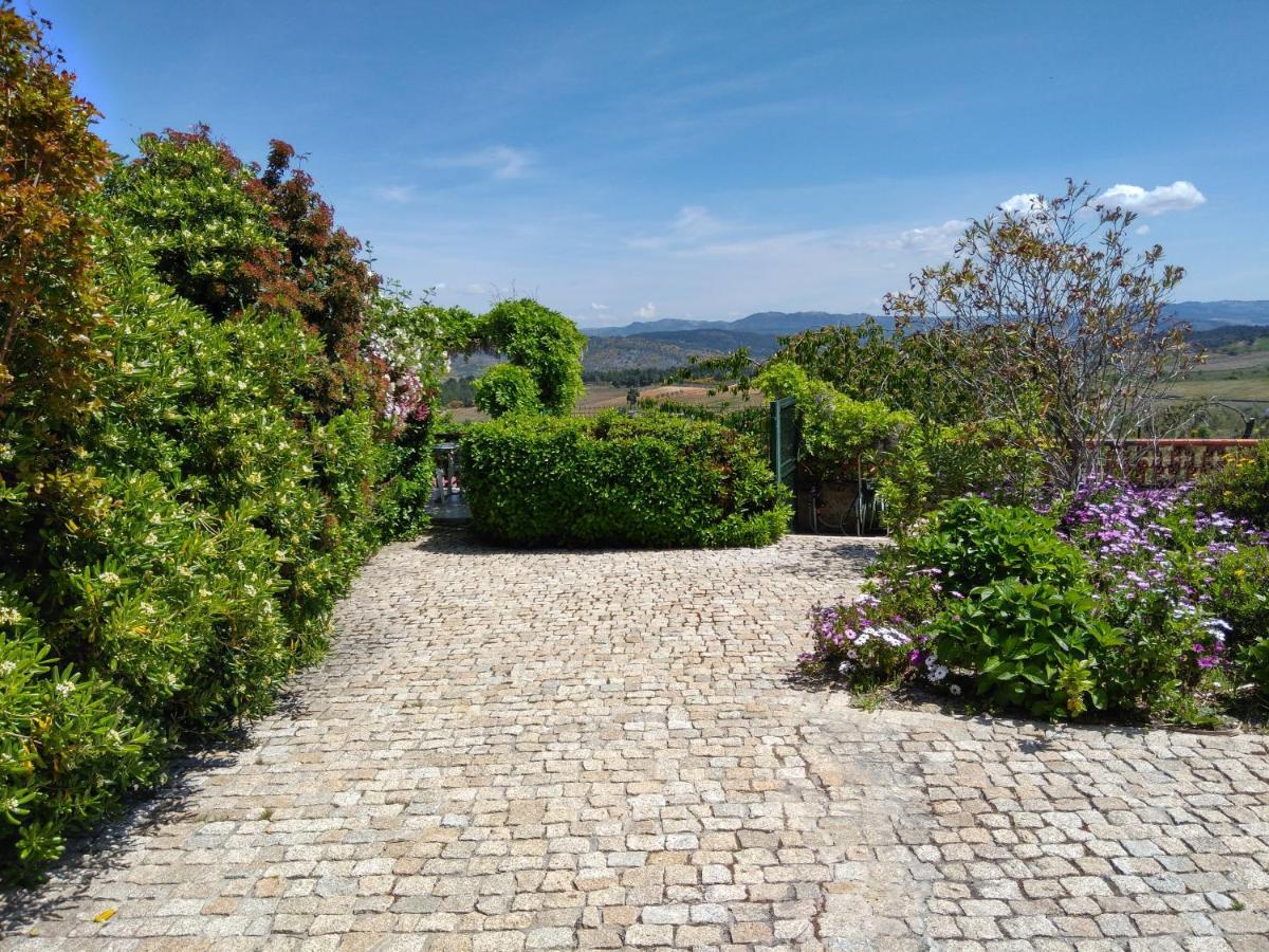 Апартаменты Quinta Do Sol Алижо Экстерьер фото